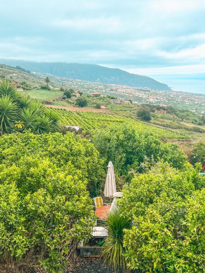 Apartment With Huge Deck Nestled In Marvelous Gardens - Nidos La Orotava Exterior photo